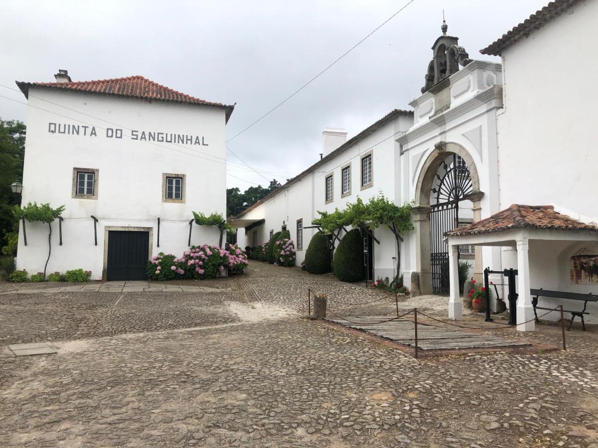 Terra Luso Proche De Montejunto Bed & Breakfast Cadaval ภายนอก รูปภาพ