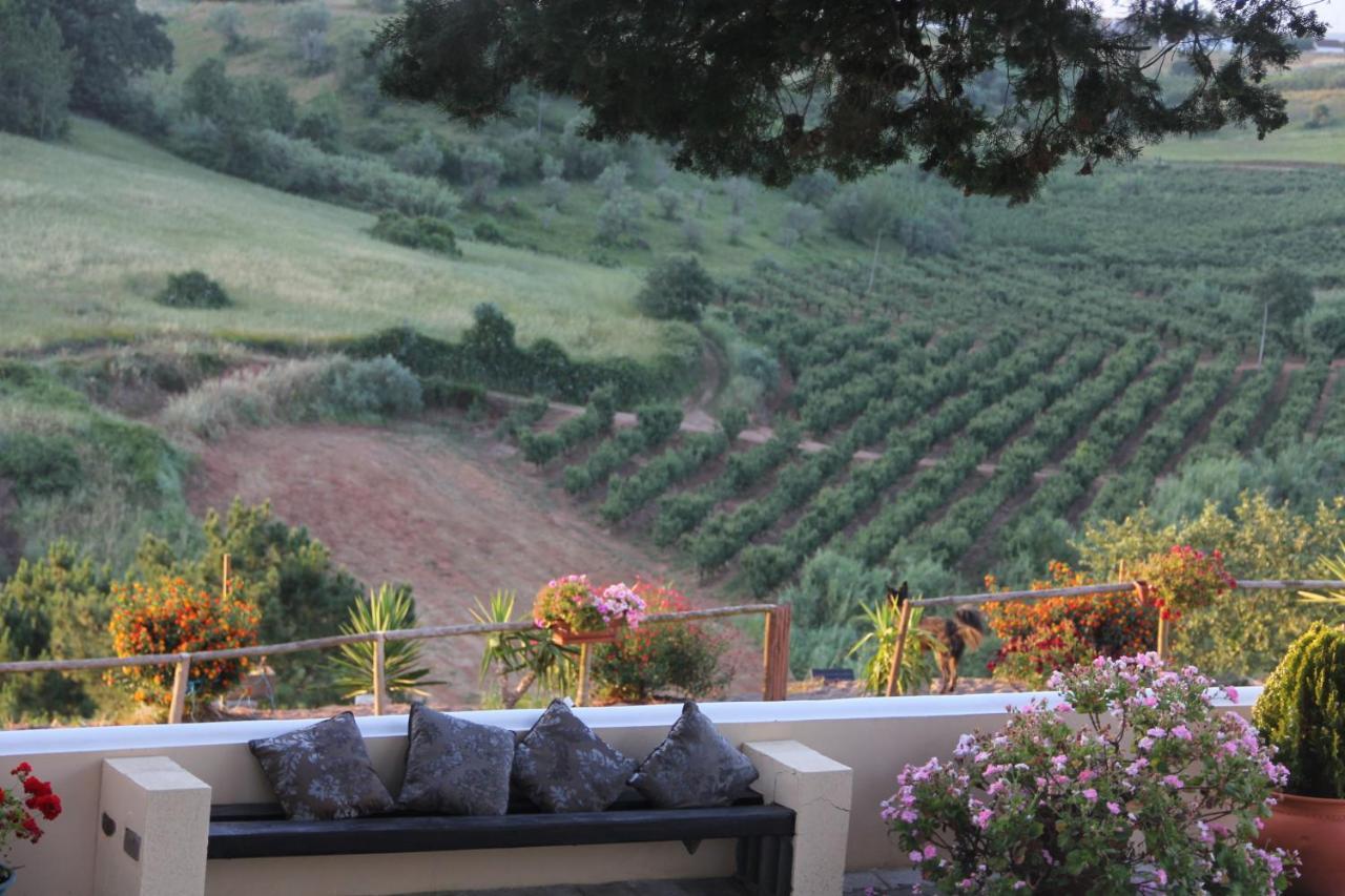 Terra Luso Proche De Montejunto Bed & Breakfast Cadaval ภายนอก รูปภาพ
