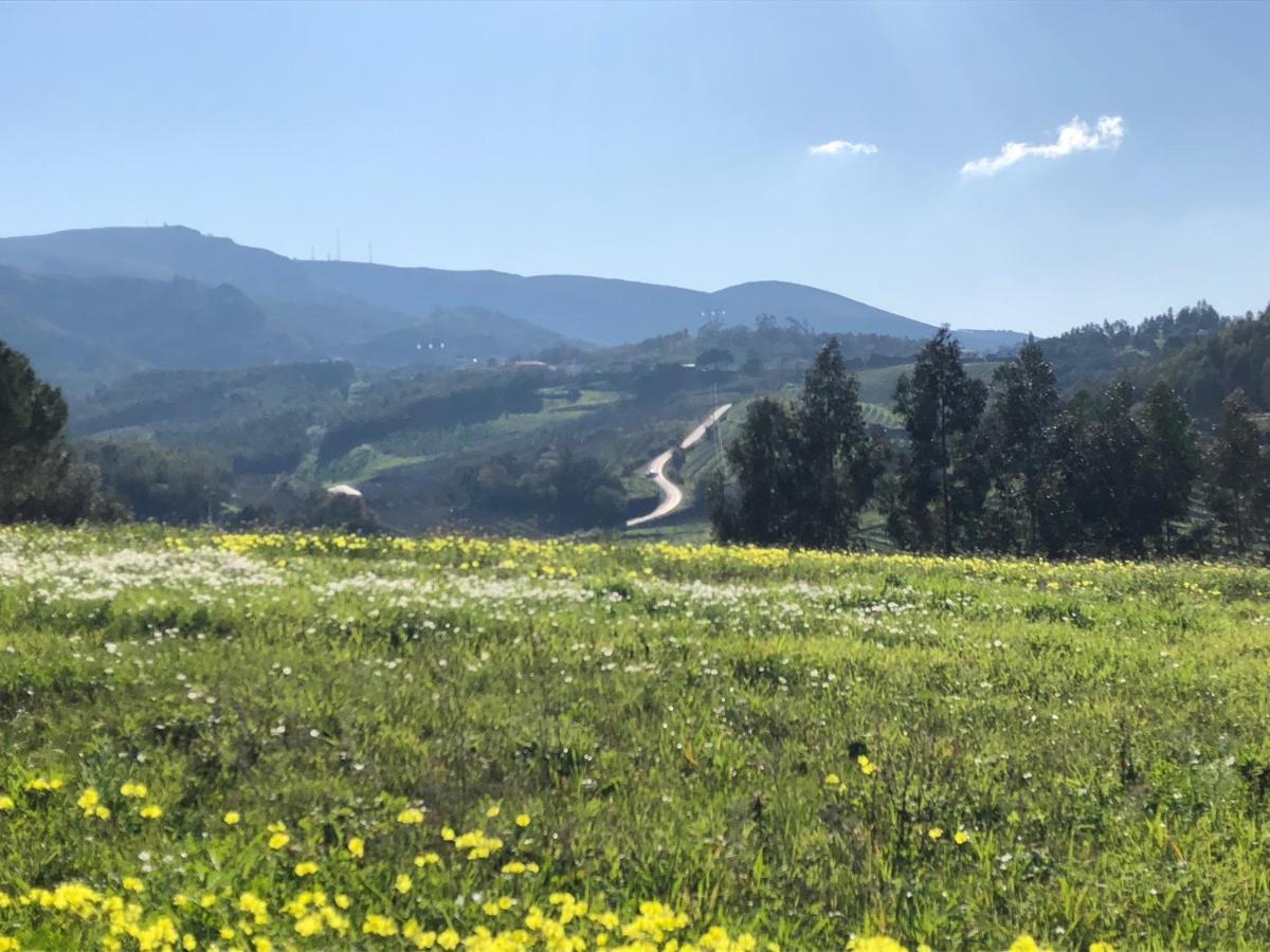 Terra Luso Proche De Montejunto Bed & Breakfast Cadaval ภายนอก รูปภาพ